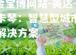 英达-彼得卡琴：智慧型城市的一体化解决方案