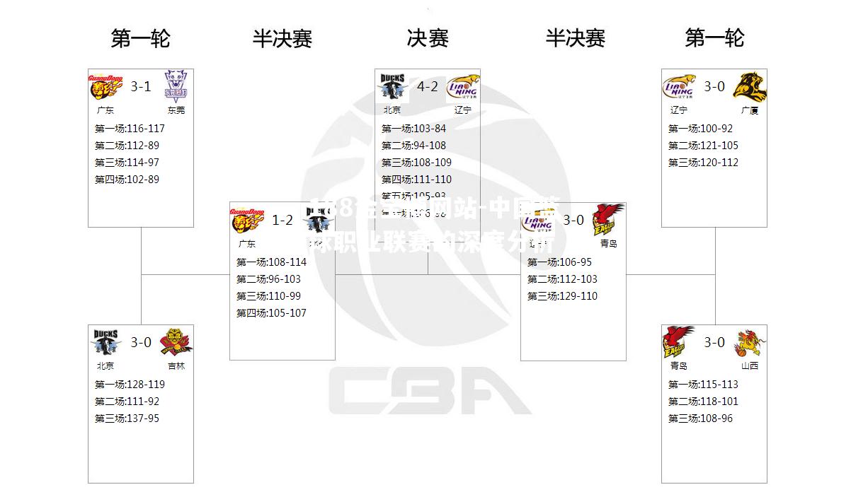 中国篮球职业联赛的深度分析